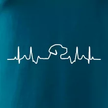 Labradorský retriever EKG Labradorský retriever EKG