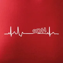 SDH EKG