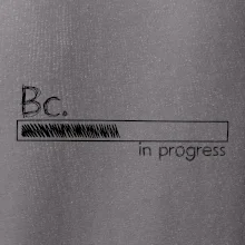 In progress titul Bc. bakalár / bakalárka