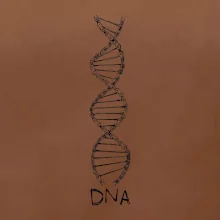 Cyklistovo DNA