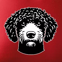 Lagotto romagnolo hlava na prsníku