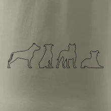 Americký stafordšírsky teriér v rôznych pozíciách