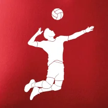 Volejbal náprah muž