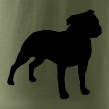 Americký stafordšírsky teriér Na prsníku