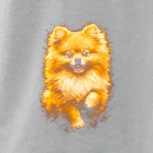 Obrázok poltón Pomoranský špic