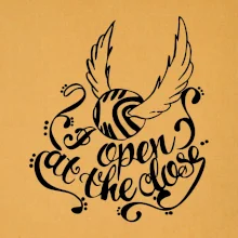 Harry - Zlatá strela