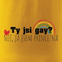 Gay princezna Gay princezna