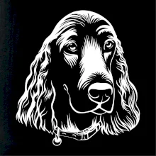 Kokeršpaniel - hlava kreslená