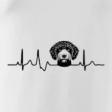 Lagotto romagnolo hlava EKG