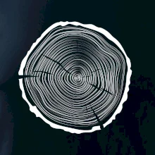 Letokruhy 45 bez veku