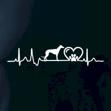 Chrt - Ekg Chrt - Ekg