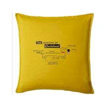 Jazvečík - Anatómia