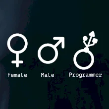 Female male programmer