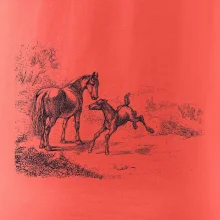 Kôň a žriebä maľované