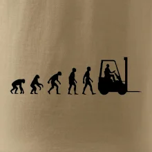 Evolúcia jašterica