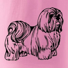 Shih-tzu - chlpatý