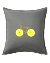 Bicykel citrón (Moňas)