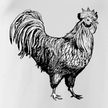 Kohút kreslený čiernobiely