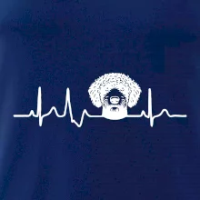 Lagotto romagnolo hlava EKG