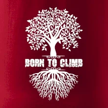 Born to climb Born to climb