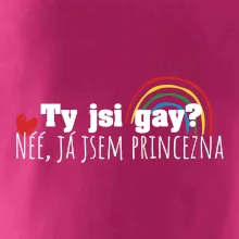 Gay princezna Gay princezna