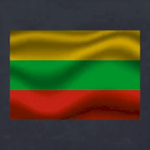 Litva vlajka obdĺžnik