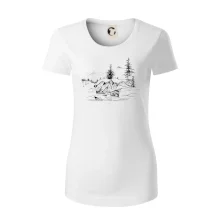 Medveď hory Medveď hory