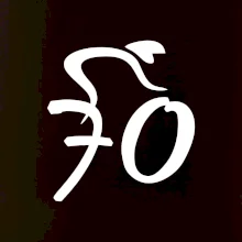 Cyklista oslavuje sedemdesiatku (70)