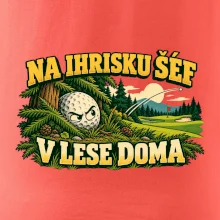 Na ihrisku šéf v lese doma