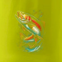 Obrázok pstruh dynamický