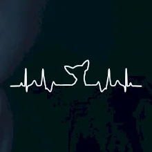 Čivava EKG Čivava EKG