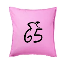 Cyklista oslavuje šesťdesiatpäťku (65)