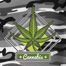 Cannabis list kosoštvorec