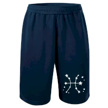 Súhvezdie - Pisces - Ryby