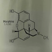 Molekulárna štruktúra Morfín