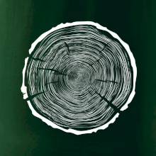 Letokruhy 100 bez veku Letokruhy 100 bez veku