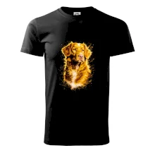 Obrázok poltón Kanadský retriever (Nova Scotia Duck Tolling Retriever)