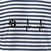 Veterinár EKG Veterinár EKG