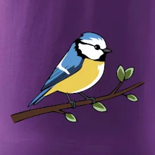 Sýkorka modrinka na vetve