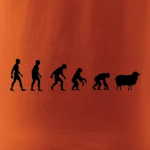 Evolúcia ovce