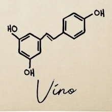 Barová chémia - víno