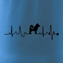 Shiba-Inu EKG Shiba-Inu EKG