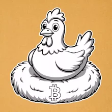 Kurča sediace na bitcoinovom hniezde