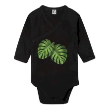 Monstera - dva listy Monstera - dva listy