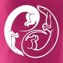 Jazvečíky - Jin jang Jazvečíky - Jin jang