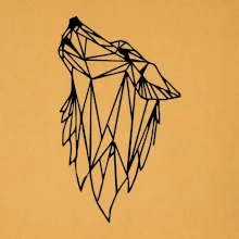 Geometria - vlk - vyjúci