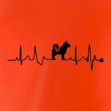 Shiba-Inu EKG Shiba-Inu EKG