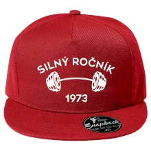 Silný ročník - Letopočet 1973 Silný ročník - Letopočet 1973