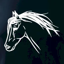 Kôň - hlava celá