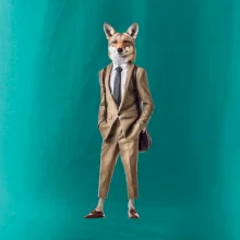 Vlk elegán Vlk elegán